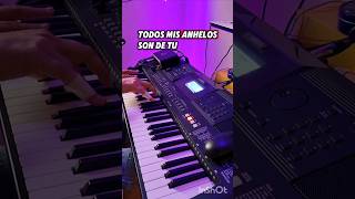 Tienen Tu Color  Jesus Adrian Romero  Piano Cover❤️‍🩹 [upl. by Fulcher852]