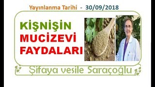 KİŞNİŞİN MUCİZEVİ FAYDALARI  Şifaya vesile Saraçoğlu [upl. by Otina62]