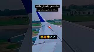 Pakistan halat dhak kar Dubai ka ray ha😱😭✈️ azan video youtubeshort aimabaig azma kingfahad [upl. by Kale]