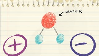 Hydrophilic molecules vs hydrophobic molecules  Chemistry tutorial [upl. by Filbert]