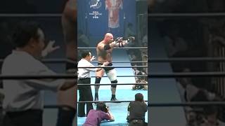 Goldberg in Japan [upl. by Yllier]