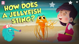 How Does A Jellyfish Sting  Everything About Jellyfish  Dr Binocs Show  Peekaboo Kidz [upl. by Laeno]