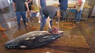 How To Butcher a Whole Bluefin Tuna Every Cut of Fish Explained Handcrafted Bon Appétit如何快速分解切割 [upl. by Etep]