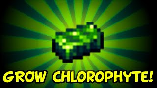 Terraria 14 How to Farm Chlorophyte XBox PS4 Switch PC Mobile [upl. by Ybsorc]