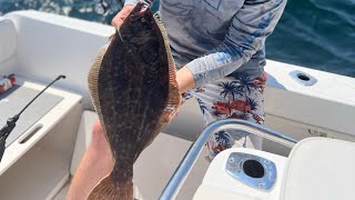 Summer Flounder Fishing Perfect Ride Home [upl. by Elockcin]