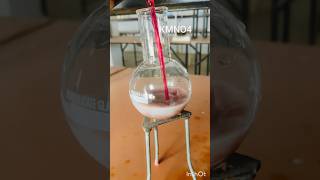 Lead nitrate reaction with KMNO4 chemistry ytshorts trending organicchemistry [upl. by Enelav]