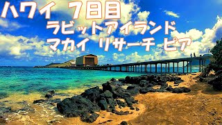 ハワイ ７日目 この青い海は超絶！絶景！ラビットアイランド ハワイで1番！ [upl. by Manley]