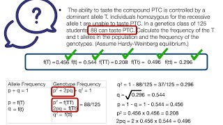 Hardy Weinberg Example 5 [upl. by Keg321]