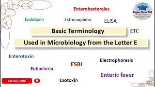 Basic terminology used in microbiology from Letter E raqbamicrohub laboratory microbiology [upl. by Yenaiv]