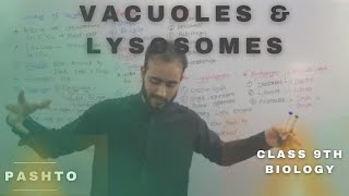 Vacuoles and Lysosomes In pashto  Very Easy  Bya ba darna Ne herege  Class 9th biology [upl. by Loeb]