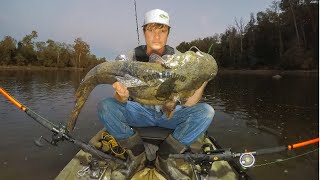 Catfishing from a Kayak Basic Kayak River Fishing for Catfish [upl. by Aniakudo]