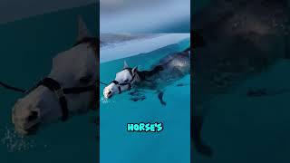 Why Do Horses Swim 🐴🌊🤔 [upl. by Mayman464]