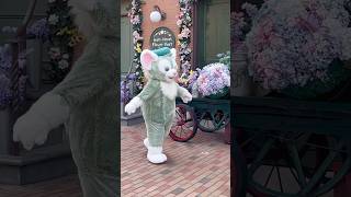 I met Duffy and Friends Gelatoni at Disneyland shorts disney funny [upl. by Yesnek]