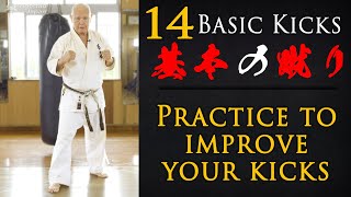 Basic Karate Kicks  Okinawan Karate  Everyday Karate at Home  Ageshio Japan [upl. by Mcgrody676]