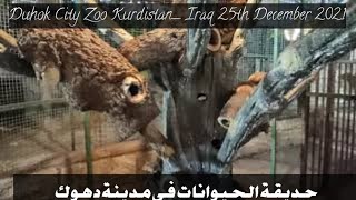 Duhok City Zoo Kurdistan Region North of Iraq 25th December 2021 حديقة حيوانات مدينة دهوك كوردستان [upl. by Gustie935]