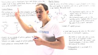 Cysteine Apsratyl and Metalloproteases [upl. by Etessil614]