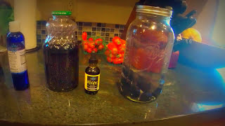 ACTIVATED CHARCOAL CHIA SEED FULVIC ACID DETOX WATER RECIPE with Mini Rant [upl. by Hermes138]