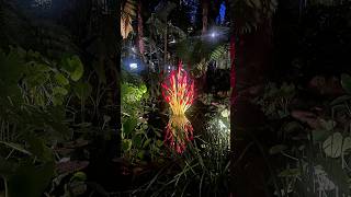 Chihuly Events chihulyeventshortsvideoshorts [upl. by Tesler460]