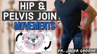 Hip Joint amp Pelvic Girdle Anatomy Joint Movements [upl. by Yeliac]