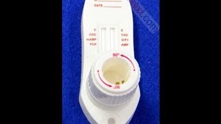 Oralert 6 Oral Drug Test Video Instructions Procedure [upl. by Norvan]