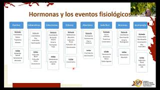 Hormonas y los eventos Fisiológicos 🌱 [upl. by Anirod]