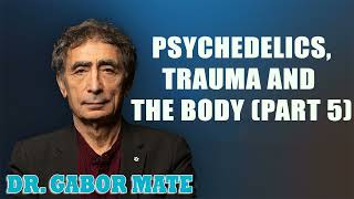 Dr Gabor Maté on Psychedelics Trauma and The Body Part 5 [upl. by Anirod]