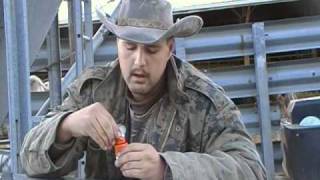 TGO How to use Deer Attractant Scents [upl. by Esina]