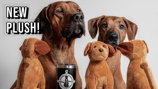 Rhodesian Ridgeback Plush and 2020 Review [upl. by Enileve]