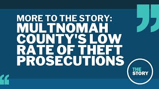 Misdemeanor theft prosecutions have dropped under Multnomah County DA Mike Schmidt [upl. by Ekaj]