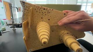 Bone Model  Structure Identification [upl. by Bail]