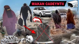 WAKAN CADEYNTII HASHIM QABKU U DILAY JACEYLKISA SUBXANALLAH WLHI ILINTA AYAN CESHAN WAYAY MURUGO [upl. by Corwun]