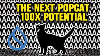 AAA meme coin is the Next POPCAT and Its on the SUI chain [upl. by Anh228]