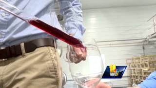 Maryland Wine Festival takes place in Carroll County [upl. by Arag45]