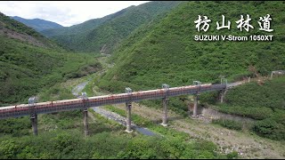 大吉行旅【SUZUKI VStrom 1050XT】枋山車站｜枋野車站｜枋山林道｜ft BWS 125 amp TMAX 560｜Mitas E07 [upl. by Fernas841]