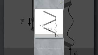 Falling ladder falls faster than free fall explained ladder facts fast shorts [upl. by Dnamron]