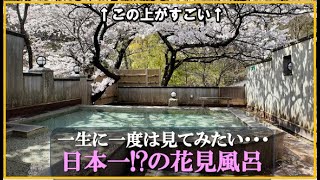 【福島県 磐梯熱海温泉♨️離れの宿 よもぎ埜】桜の露天風呂と美術館のような館内を楽しめるプライベート感抜群の小宿 [upl. by Ayikan]