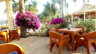 Brayka Bay Resort Marsa Alam im Januar 2019 [upl. by Zeph759]