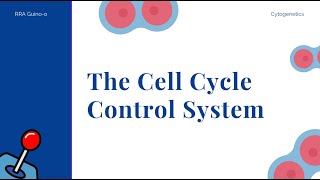 Controlling the Cell Cycle [upl. by Terrel814]