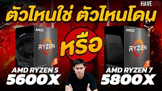 AMD Ryzen 5 5600X VS Ryzen 7 5800X ตัวไหนเหมาะกับใคร  I iHAVECPU [upl. by Cheshire]