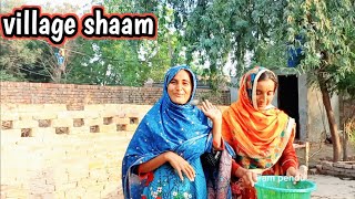 village shaam routine vlogpakistani family home working vlog punjab Pakistaniram pendu [upl. by Edaw846]