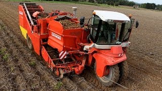 GRIMME SF 15060 and FENDT with JOSKIN  JM Fortemps  Arrachage PDT 2013 [upl. by Torrlow]