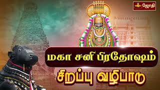 விதியை வெல்லும் சனி மகா பிரதோஷ வழிபாடு  Sani Pradosham பல்வேறு கோயில்களில் இருந்து  Jothitv [upl. by Garrity631]