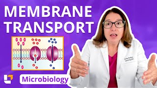 Membrane Transport  Microbiology for Nursing School and Health Fields  LevelUpRN [upl. by Sherar]