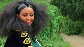 Ethiopian music  Haftom GMichael  Welelaatonወለላኣተን  Ethiopian Tigrigna Music Official Video [upl. by Ahab]