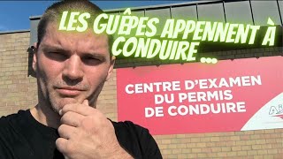 Les guêpes envahissent le centre dexamen du permis de conduire [upl. by Najtsirk967]