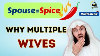 Polygamy in the Modern World Why Everyone Want Multiple Wives  Mufti Menk  Spiritual Way [upl. by Yeoj]