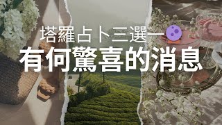 塔羅🔮大眾占卜🔮最近有什麼驚喜？什麼祝福的好事發生？Yes or No 快問快答三選一無時間限制🙏 [upl. by Nohsid371]