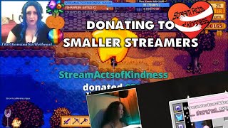 Donating to Random Smaller Streamers With Low Viewers [upl. by Airamzul421]