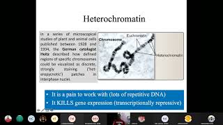 Heterochromatin  The sound of silence Types and staining techniques Part1 [upl. by Ihtraa]