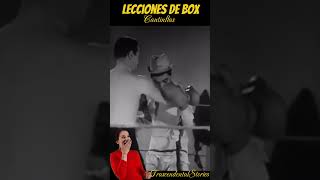 Lecciones de Box cantinflas [upl. by Gifford]